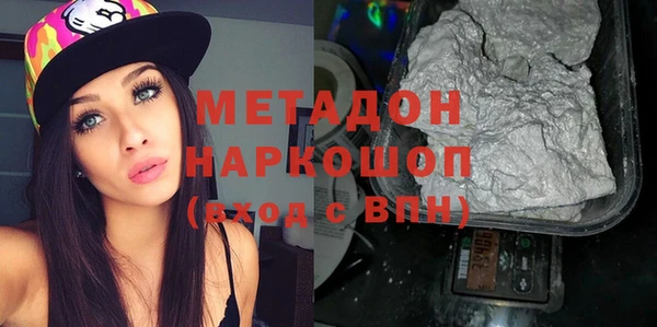 индика Заречный